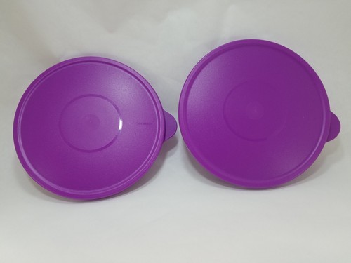 New tupperware purple - purple, ice