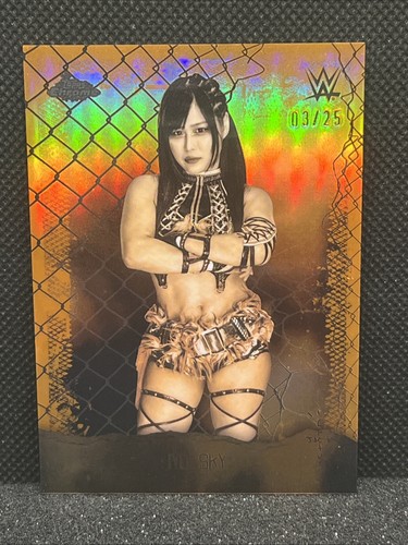 2025 topps chrome cactus - topps,
