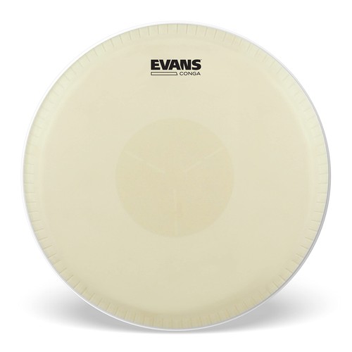 Testina batteria evans - batteria, 11