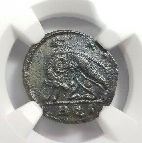 She wolf twins - twins, ngc