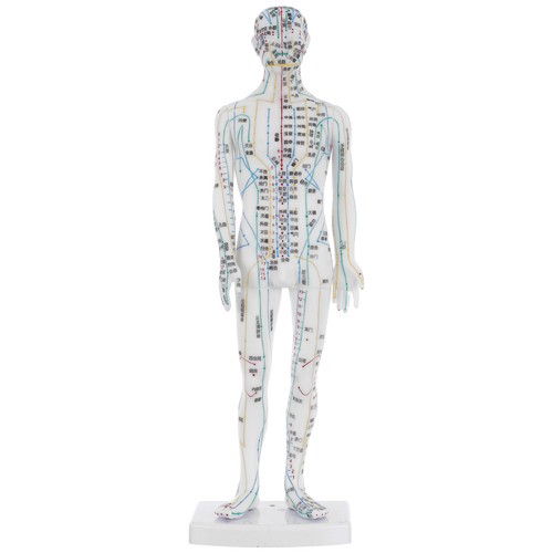 Medicina tradizionale cinese