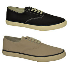 Sperry Top Sider Cloud CVO