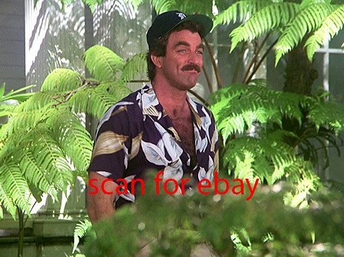 Magnum tom selleck - tom, foto