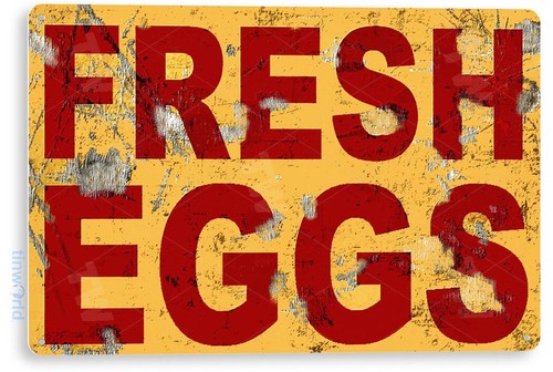 Insegna latta uova fresche - insegna,