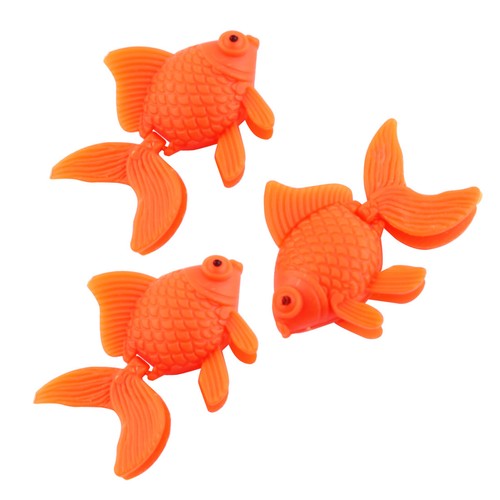 Acquario pesce vasca - acquario,