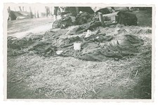 foto ww2 - occupazione della Grecia - fronte greco - Patrasso 1941 - giaciglio