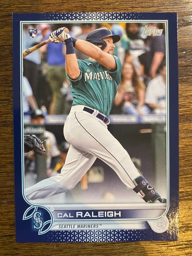 Cal raleigh royal blue - blue, border