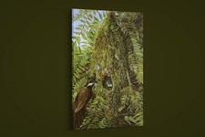 Marianne north nest of - marianne,