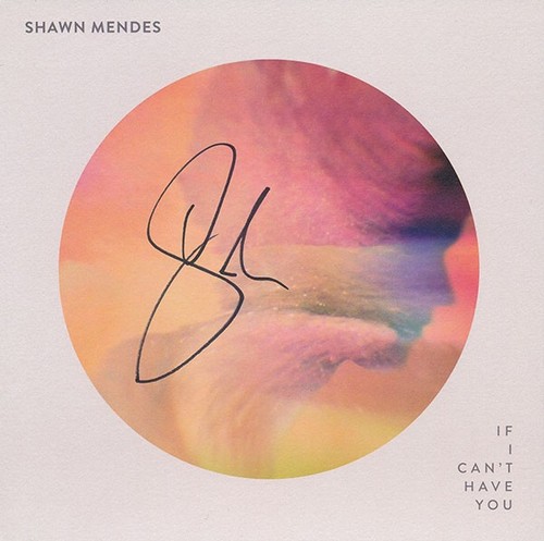 Shawn mendes can - if, i