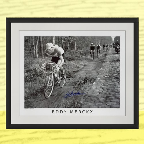 Stampa firmata eddy - stampa, merckx