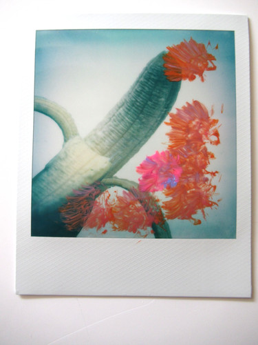 Araki polaroid originale - n.,