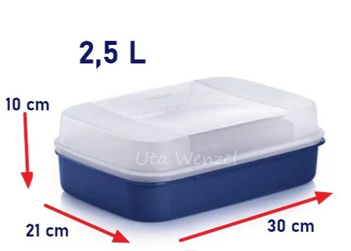 Tupperware contenitore grande - tupperware,
