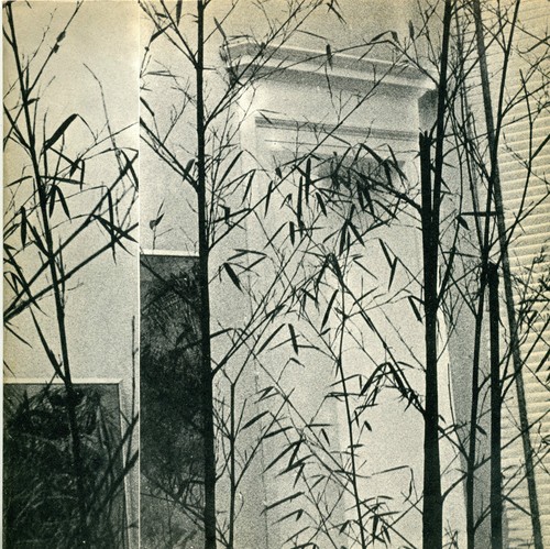 Sandro martini galleria il - -,