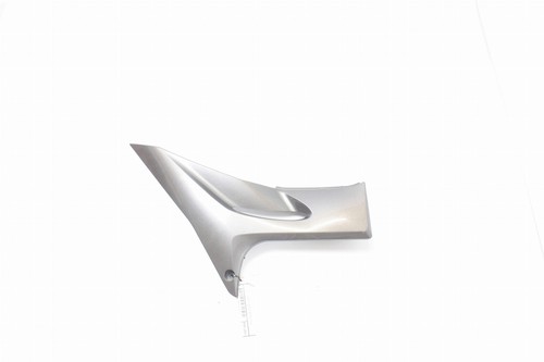 Right windshield cover carena - windshield,
