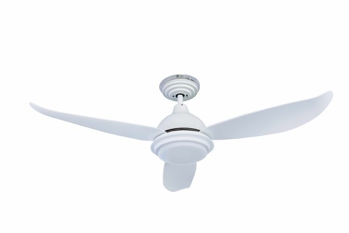 Pepeo raja ventilatore - raja,