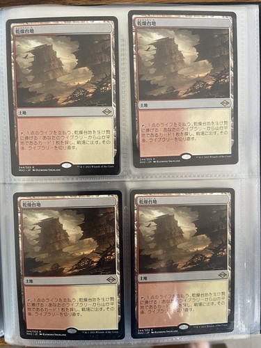 Mtg arid mesa - 4x, modern
