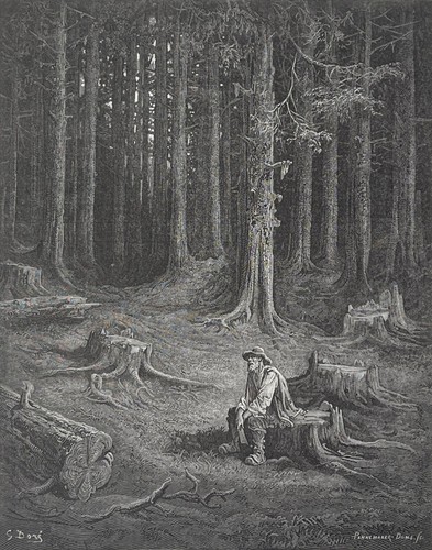 Foresta il boscaiolo - la,