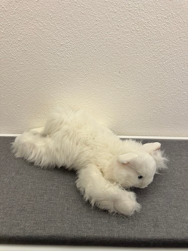 Gatto ikea bianco peluche - gatto,