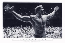 Arnold Schwarzenegger Poster