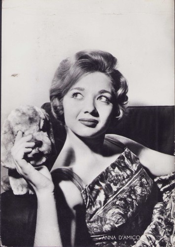 Anna amico - anna, d'amico