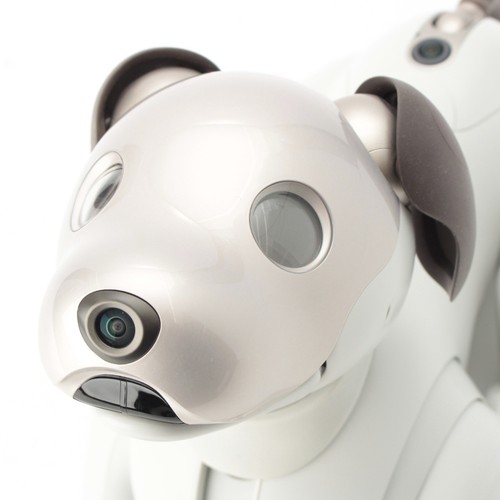 Sony aibo ers 1000 - sony, robot