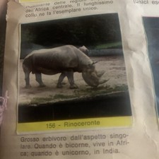 FIGURINA  N.156 IL REGNO