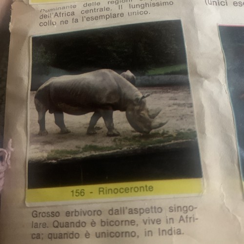 Figurina 156 il regno - ,