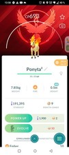 Sciarpa Ponyta Candela XXS