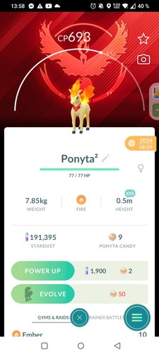Sciarpa ponyta candela - sciarpa, xxs