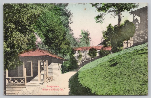 Cartolina bungalows wilsons - cartolina,