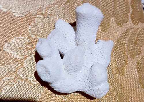 Corallo bianco grezzo del - corallo, del'900