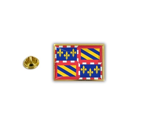 Spilla pin badge - pin, in