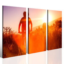 Stampa Su Tela - Mountain Bike