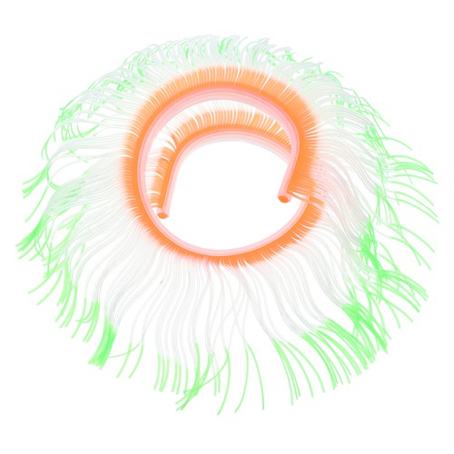 Anemone morbido per acquario