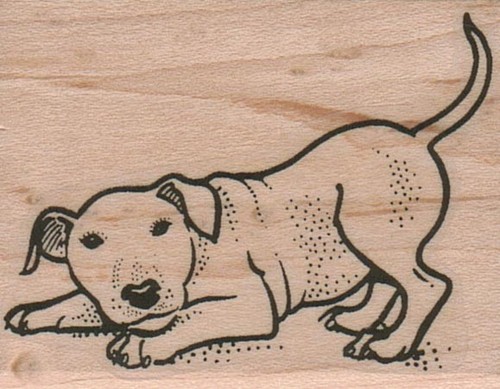Timbro gomma per cani - gomma,