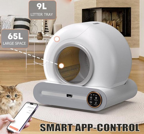 Toilette per gatti xxl - toilette,