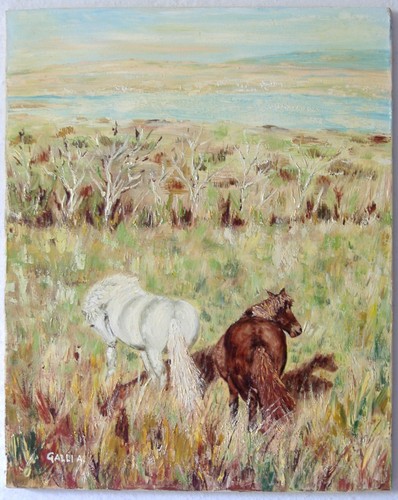 024 quadro dipinto - olio, su