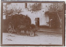 Napoli. Carrozza Trainata Da