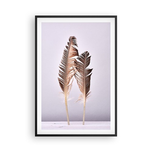 Poster 61x91cm due - poster, piume
