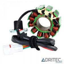 ✅ Statore Alternatore per SUZUKI RM-Z RMZ 250 (2014-2015-2016-2017)