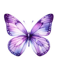 6 adesivi auto 18 x 18 viola