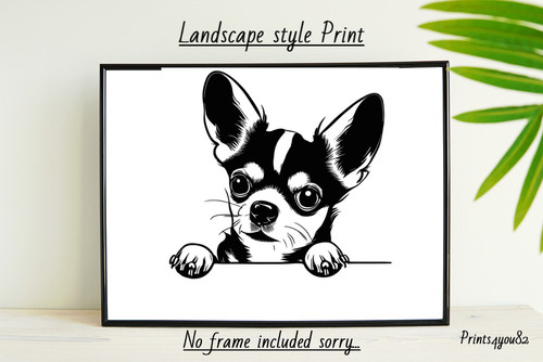 Chihuahua pet stampa - chihuahua,