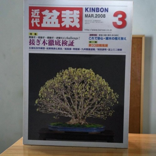 Modern bonsai magazine - bonsai,