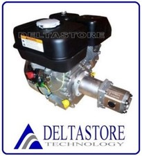 MOTORE KOHLER 4T 6,5 HP COMPLETO DI LANTERNA E POMPA IDRAULICA GR1 DELTASTORE