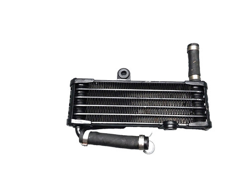 Aprilia tuono 1000 2006 2009 - 1000,