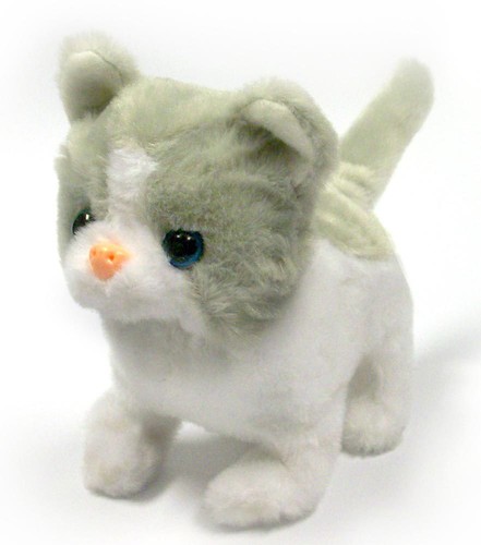 Grigio gatto bianco - grigio/gatto,