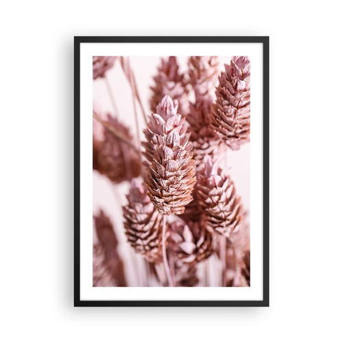 Poster 50x70cm secchi - poster, fiore