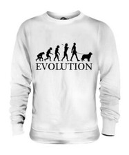 Australiano Pastore Evolution