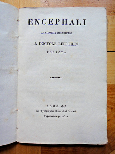 1826 encephali anatomia - 1826-encephali,