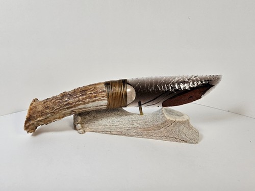 Splendido coltello - , in